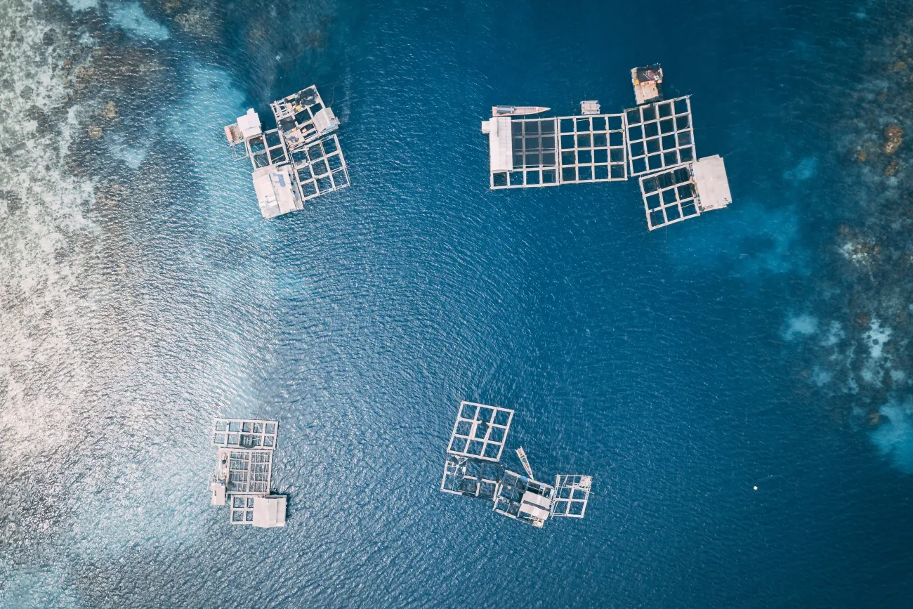Image: aerial image of aquatic farming in a body of water. Photo by Hanson Lu via Unsplash