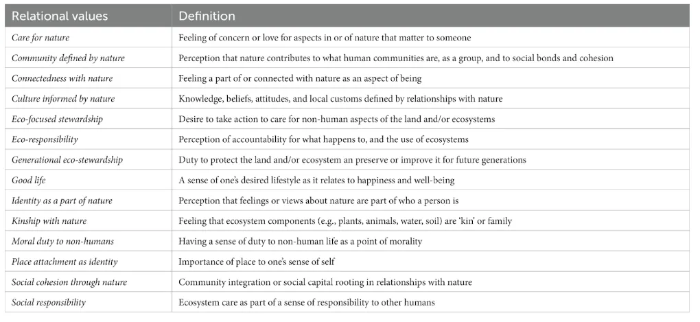 A table representing relational values identified by the researchers and their corresponding definitions