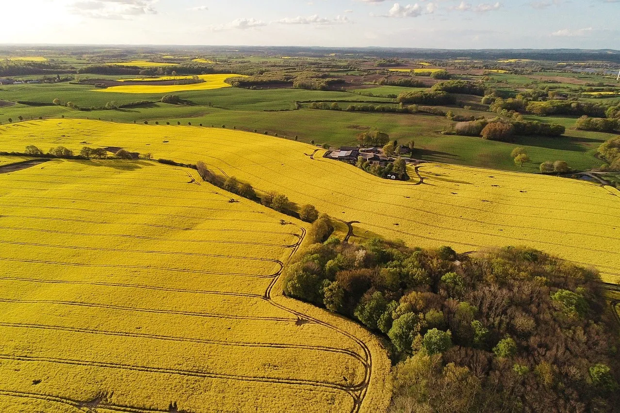 An aerial view of an agricultural landscape with pastures, fields of oil rape seed and forests. Photo by rainerh11 via pixabay