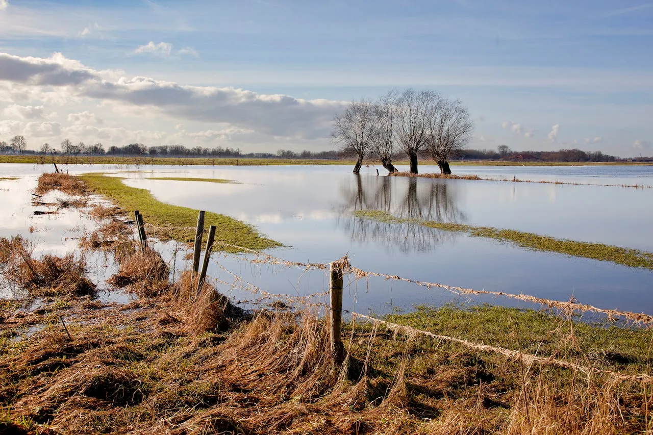 Flooding in field