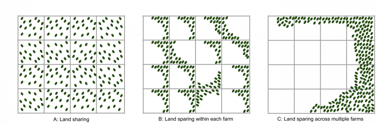 Figure 1 from the land sparing-sharing continuum explainer illustrating land sharing, land sparing within individual farms and land sparing across multiple farms.