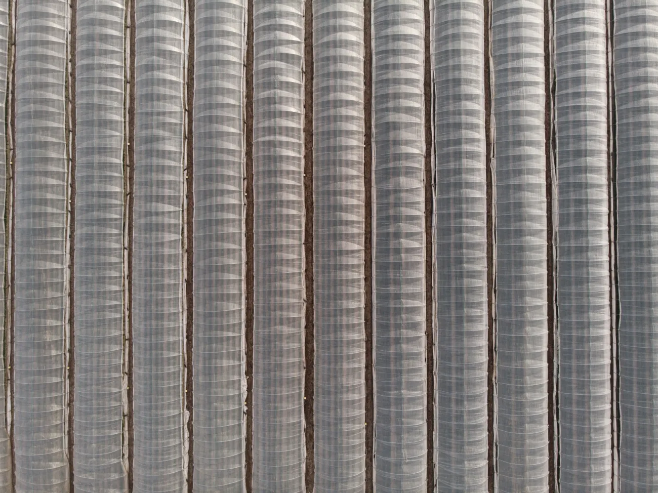 Aerial view of rows of greenhouses