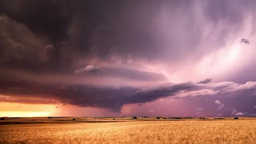 Photo of a storm over a field of wheat.