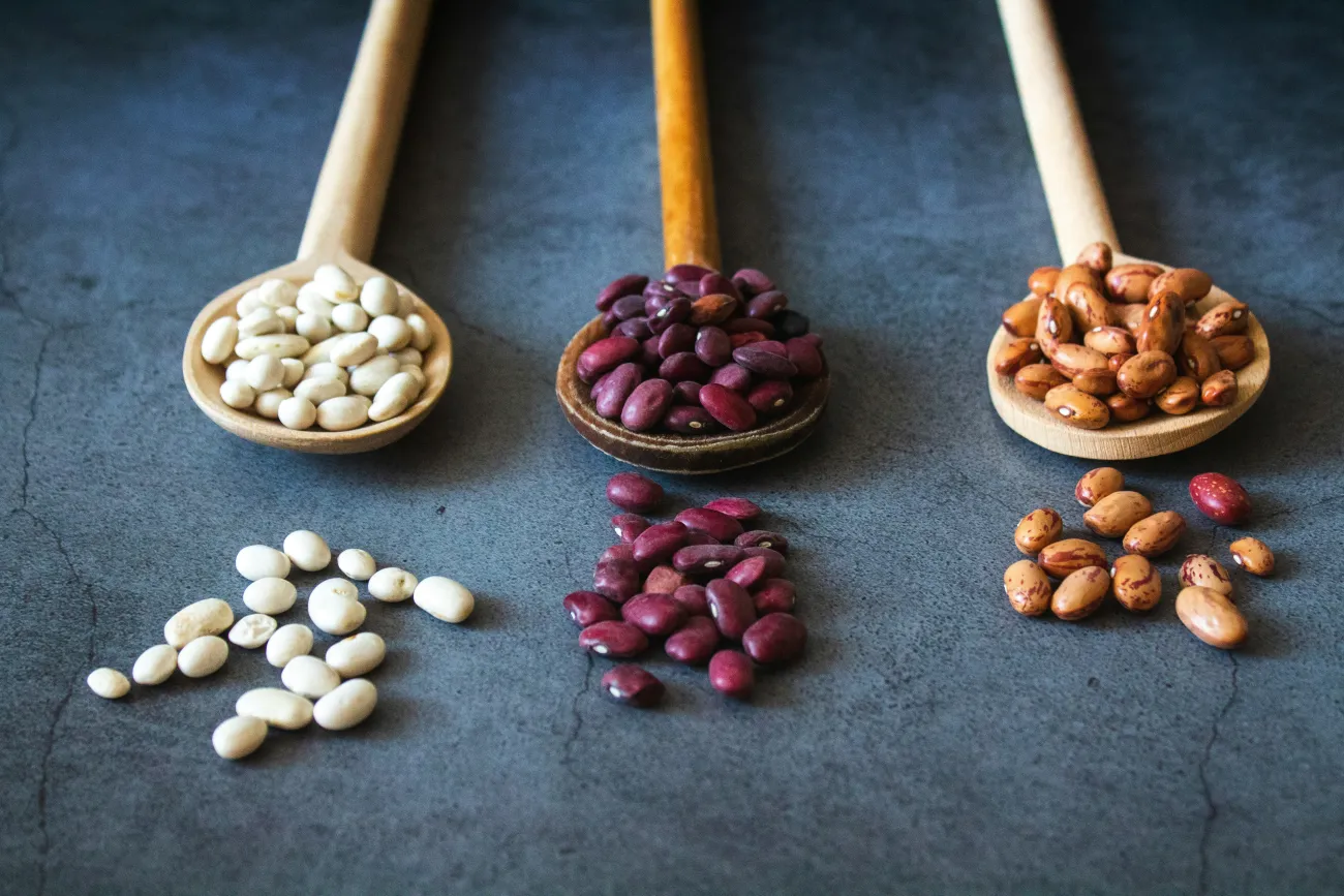 Three spoons full of three different types of beans