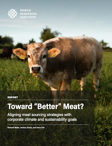 toward better meet report front cover