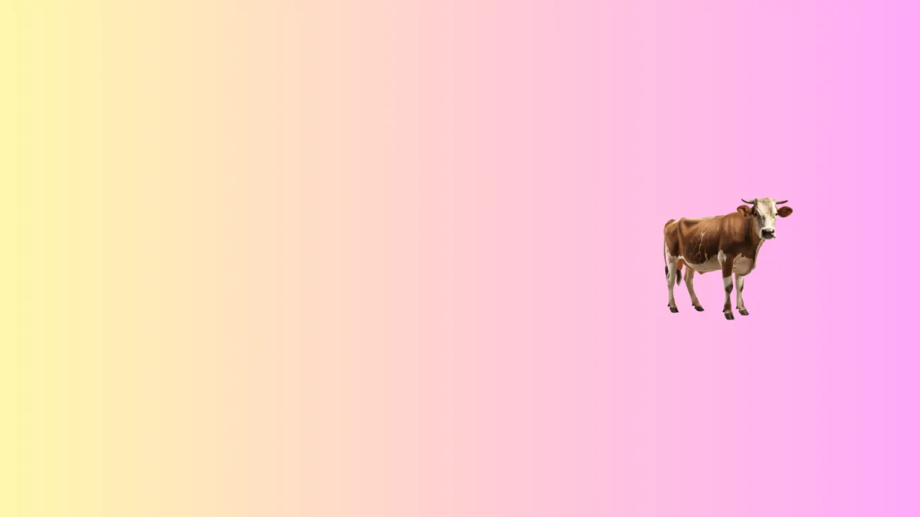 A gradient background of yellow and pink with a brown cow on the right side.