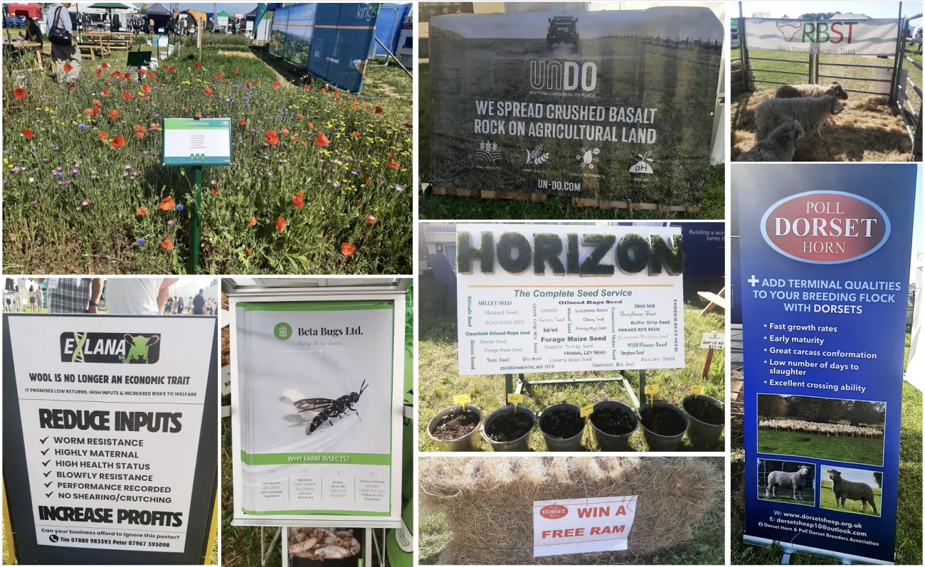 Collage of images taken at Groundswell 2024 - stalls and signs