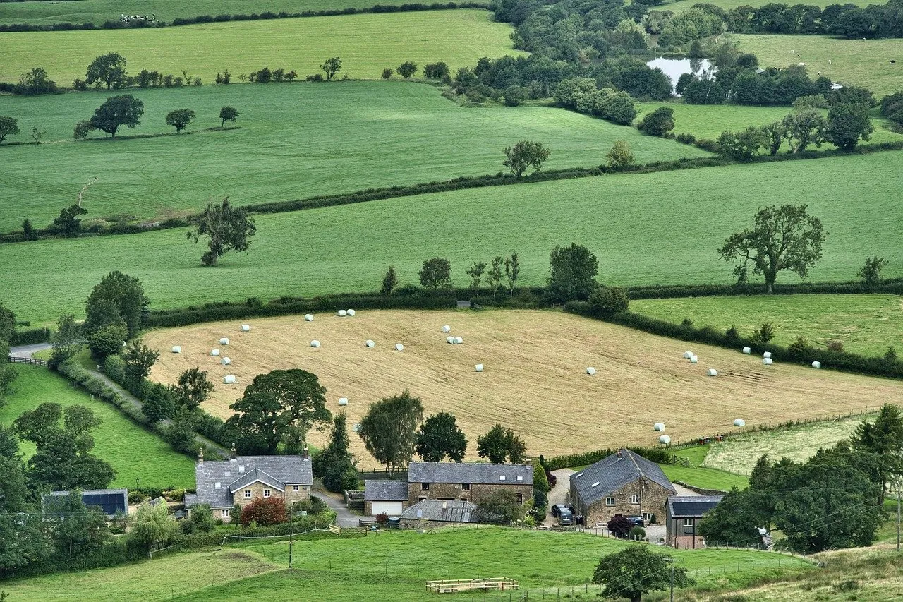 Aerial view of sheep farm. Image by Siggy Nowak from Pixabay
