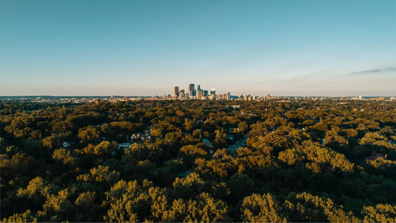 Cityscape between trees and sky - image by Josh Sorenson, Unsplash