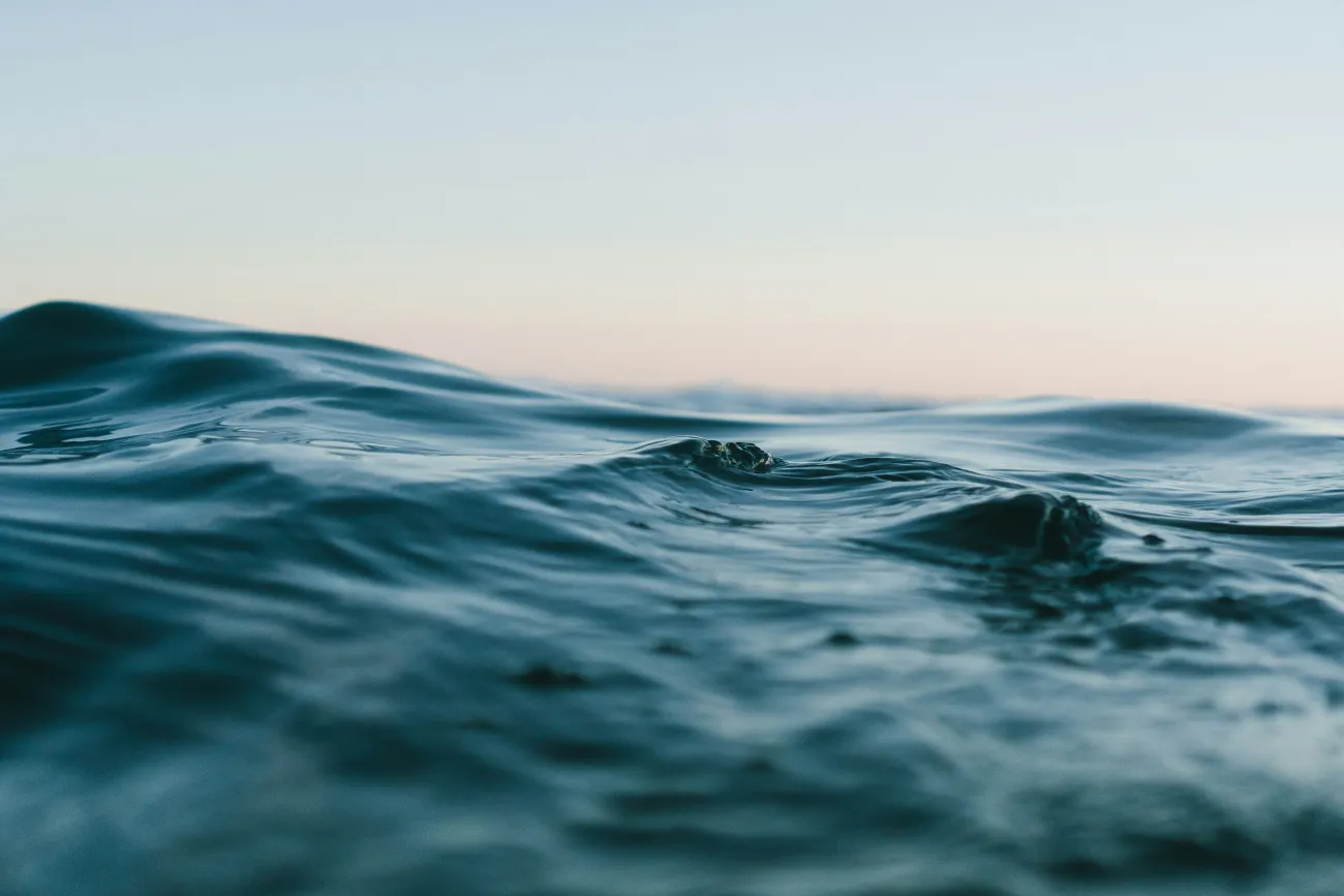 An ocean wave. Photo by Matt Hardy via Unsplash.