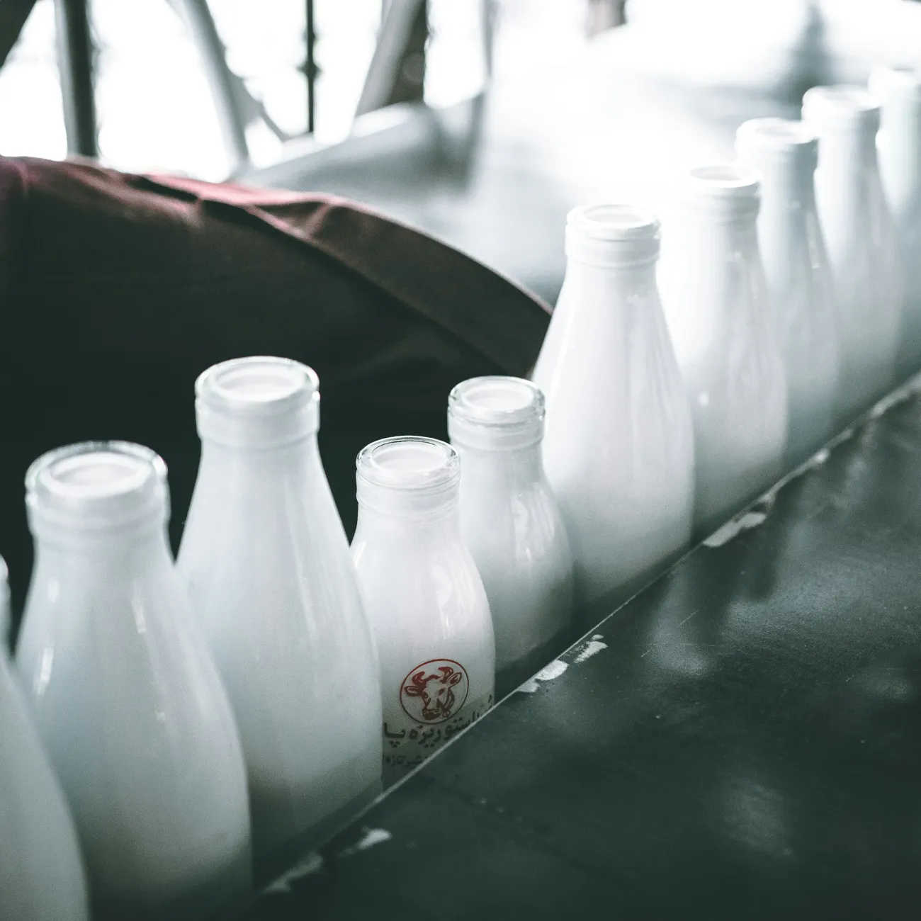 A line of milk bottles. Photo by Mehrshad Rajabi via Unsplash.