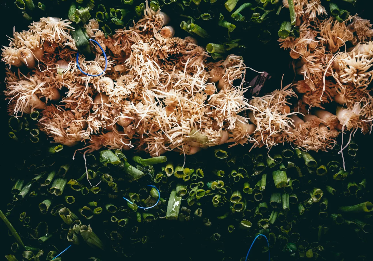 Stack of produce on a shelf. Photo by William Topa via Unsplash.