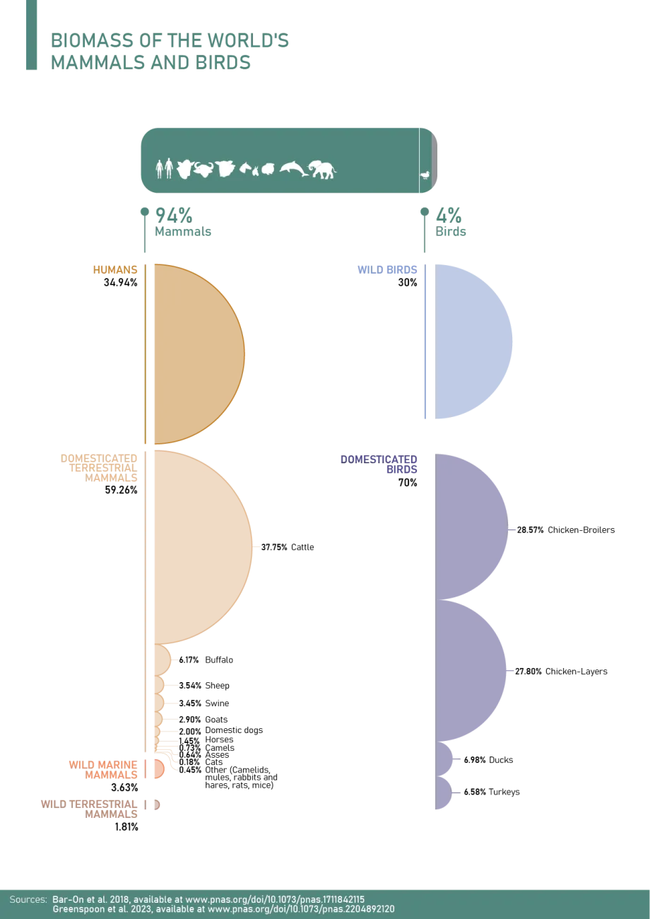 Distribution of mammal and bird biomass on Earth, separated into wild and domesticated