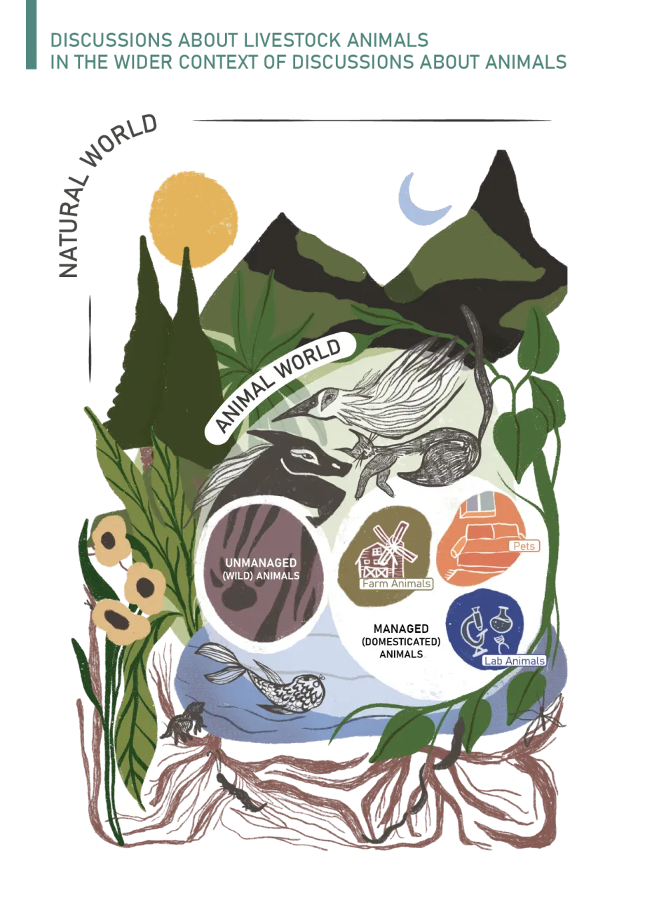 This diagram visualises our relationships with different classes of animals (farm animals, pets, lab animals) as nested within other relationships, with a wider animal world and an even wider natural world.