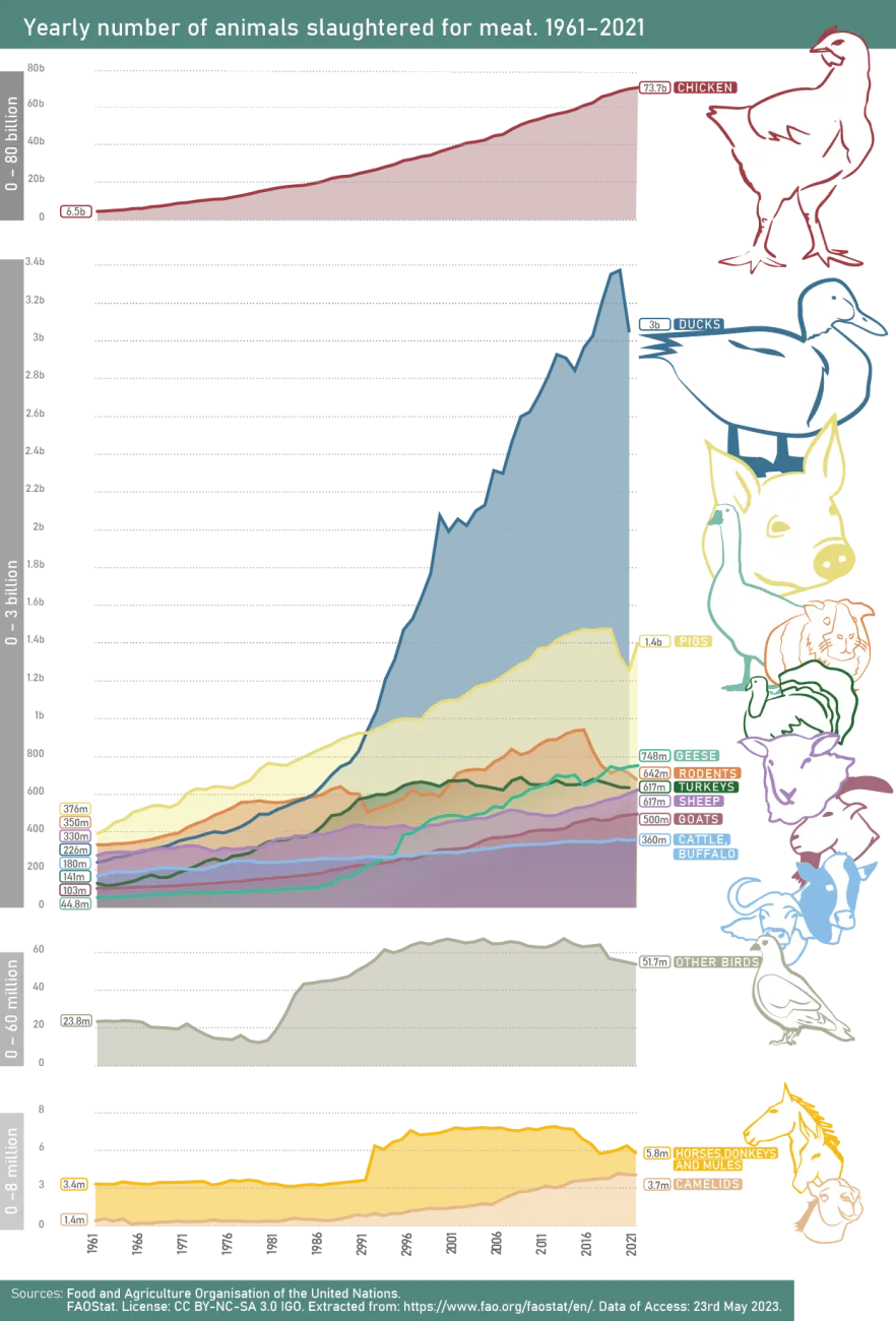 Number of farmed terrestrial animals slaughtered per year by species