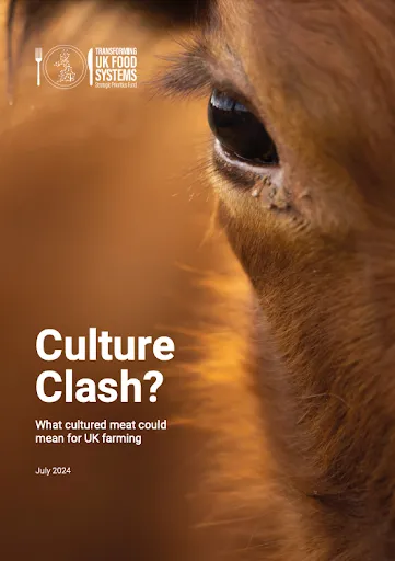 Report title page, close up of cow and title