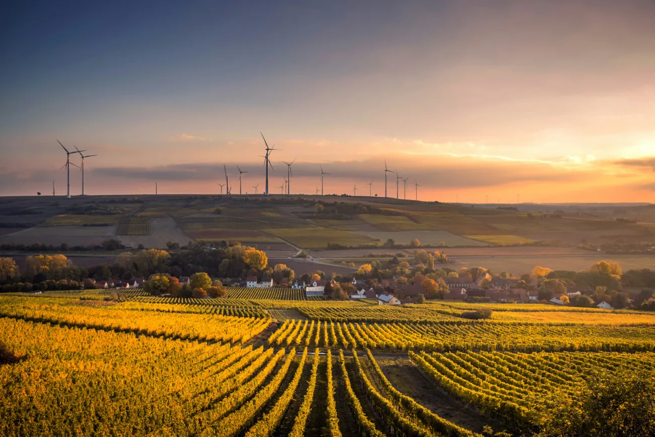 Farm fields with wind turbines on the horizon. Photo by Karstan Wurth via Unsplash.