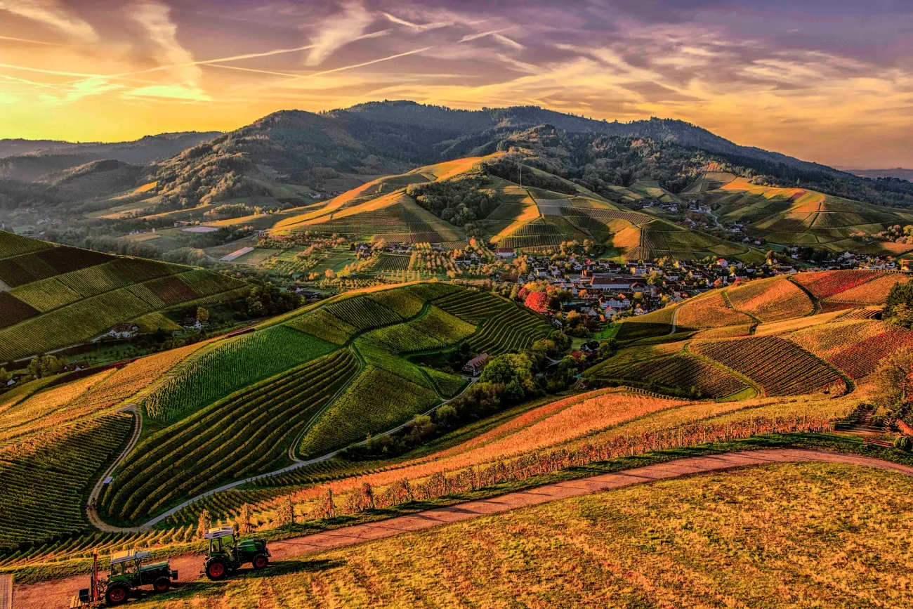 Mosaic of different fields and land use
