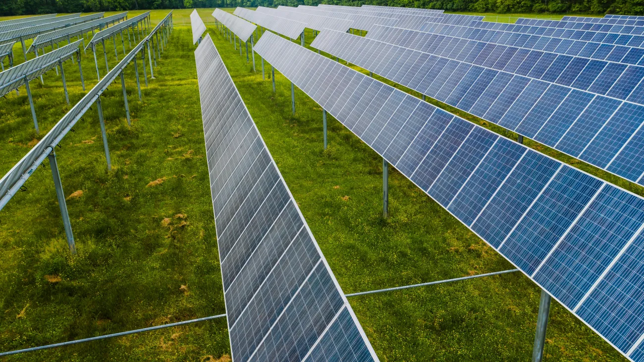 Photo of solar panels in a field. Credit: Kelly via Pexels. 