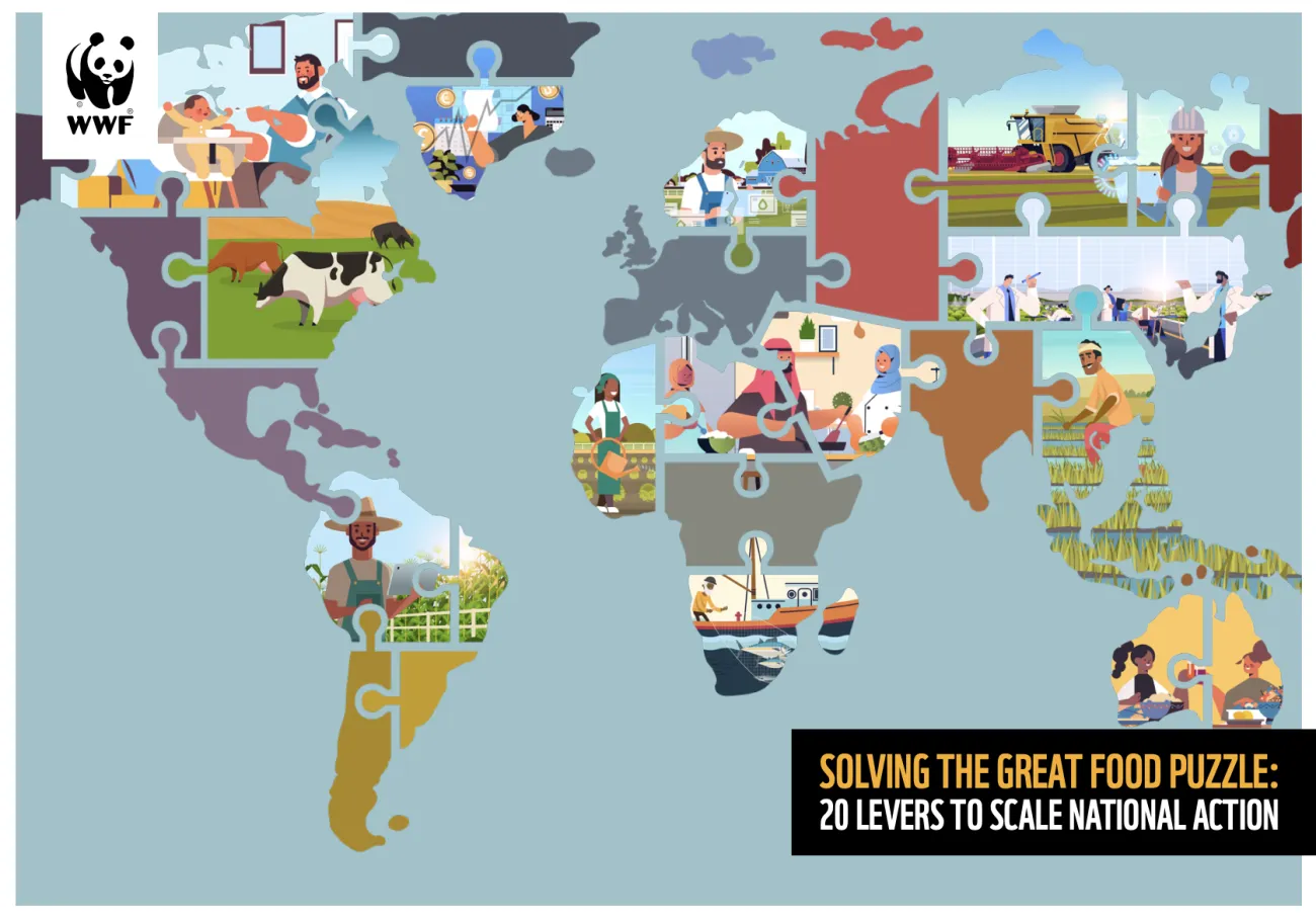 Image of the globe from WWF