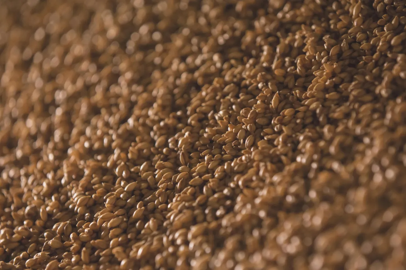 Photo of a heap of grain up close. Credit: North 42 via Pexels