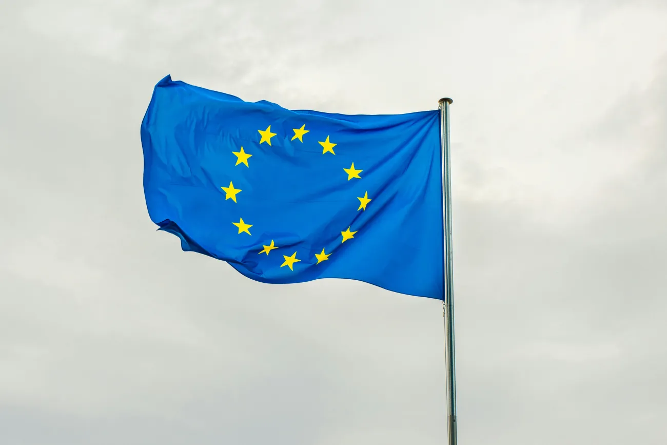 Picture of EU flag. Credit: Dusan Cvetanovic via pexels. 