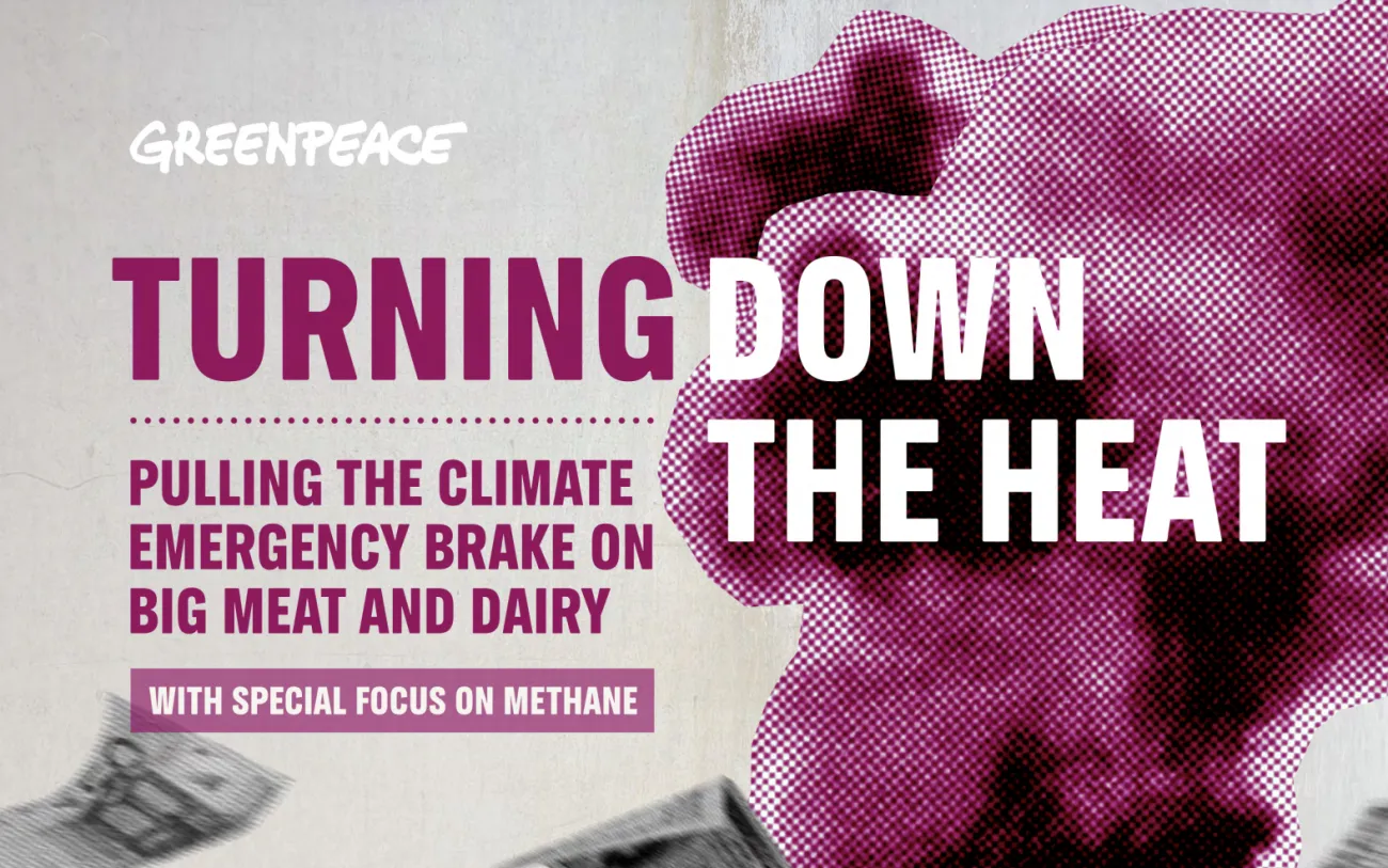Cover page of Greenpeace report