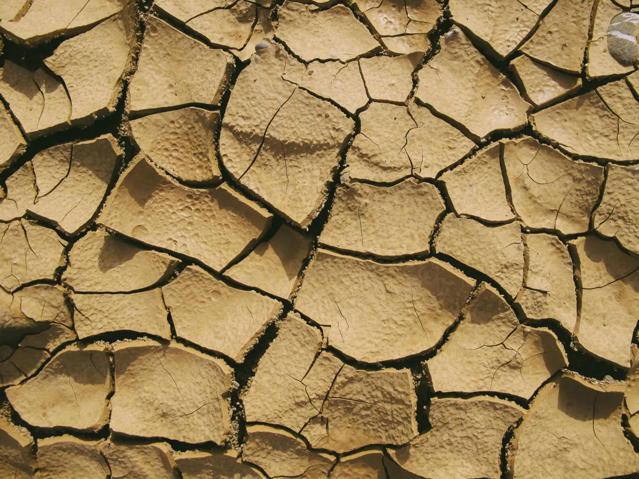 Picture of very dry ground. Credit: Francesco Ungaro via Pexels