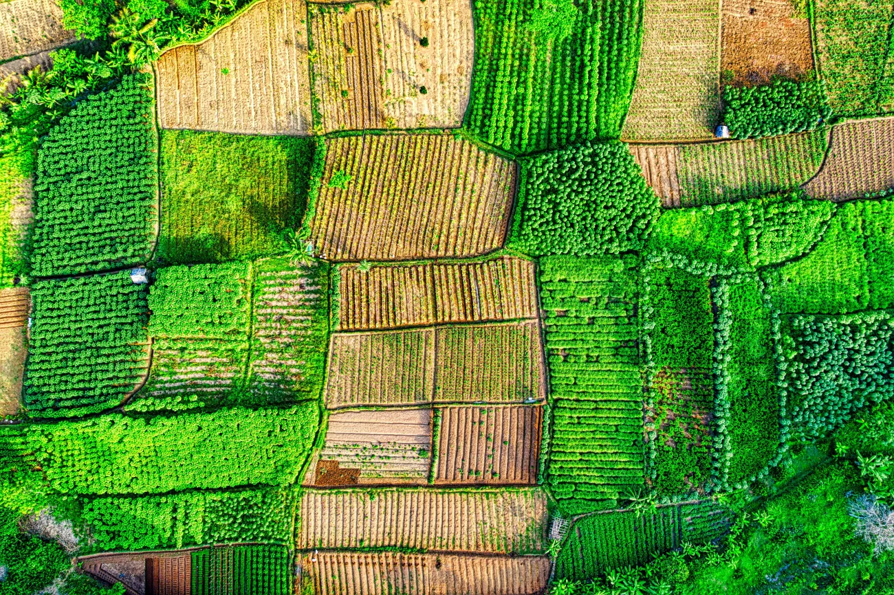 Birds eye photo of fields. Credit Tom Fisk via Pexels. 