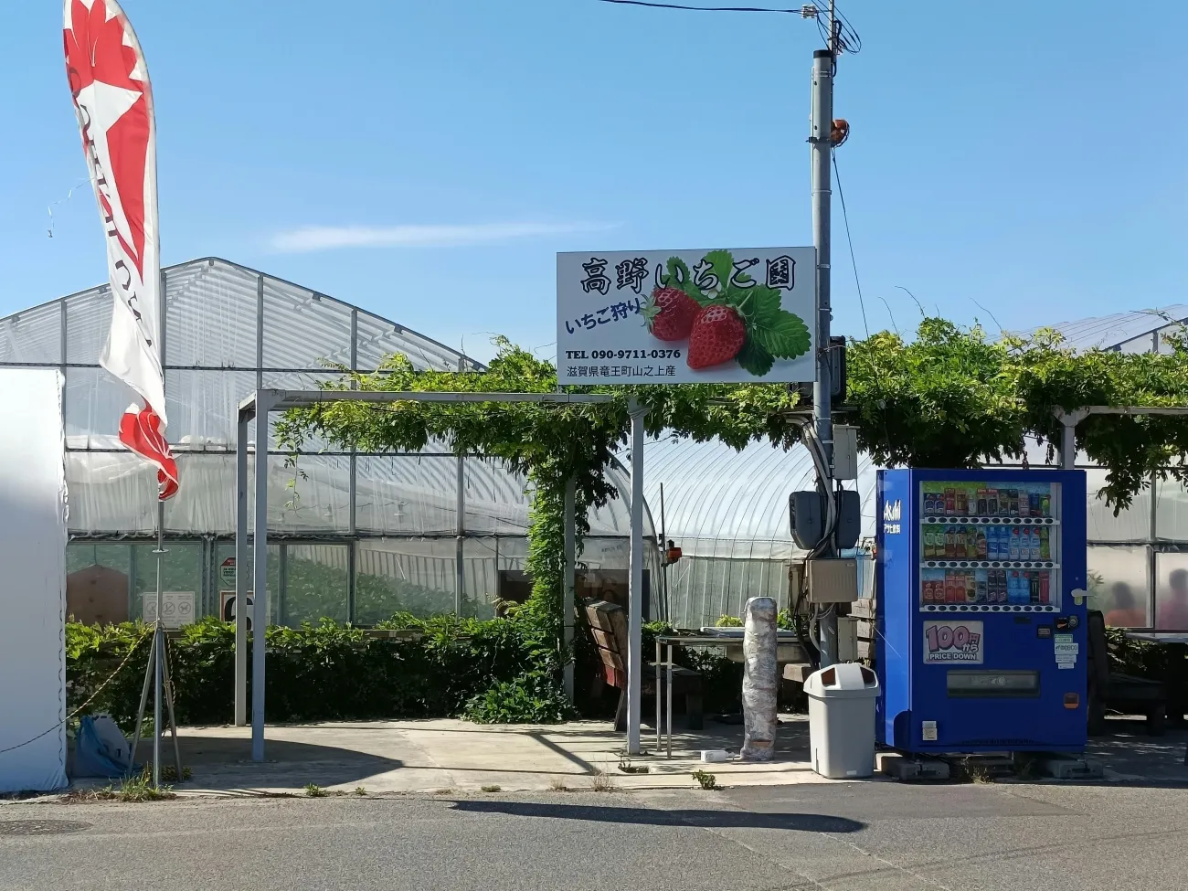 Urban farm in Japan. Credit: Ilidio De Fátimo da silva via Pexels