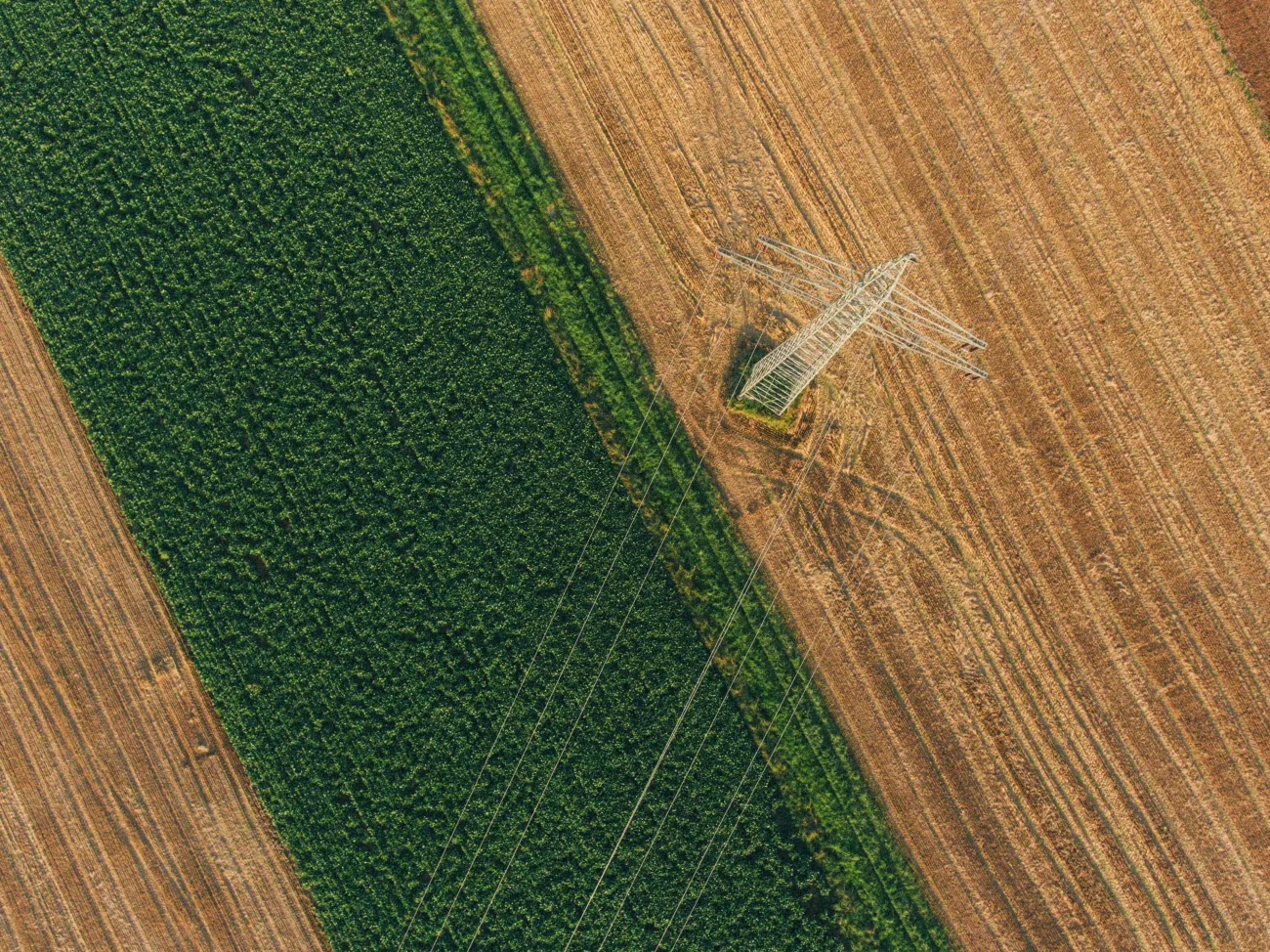 birds eye view of field and pylon, Max Bottinger via Unsplash