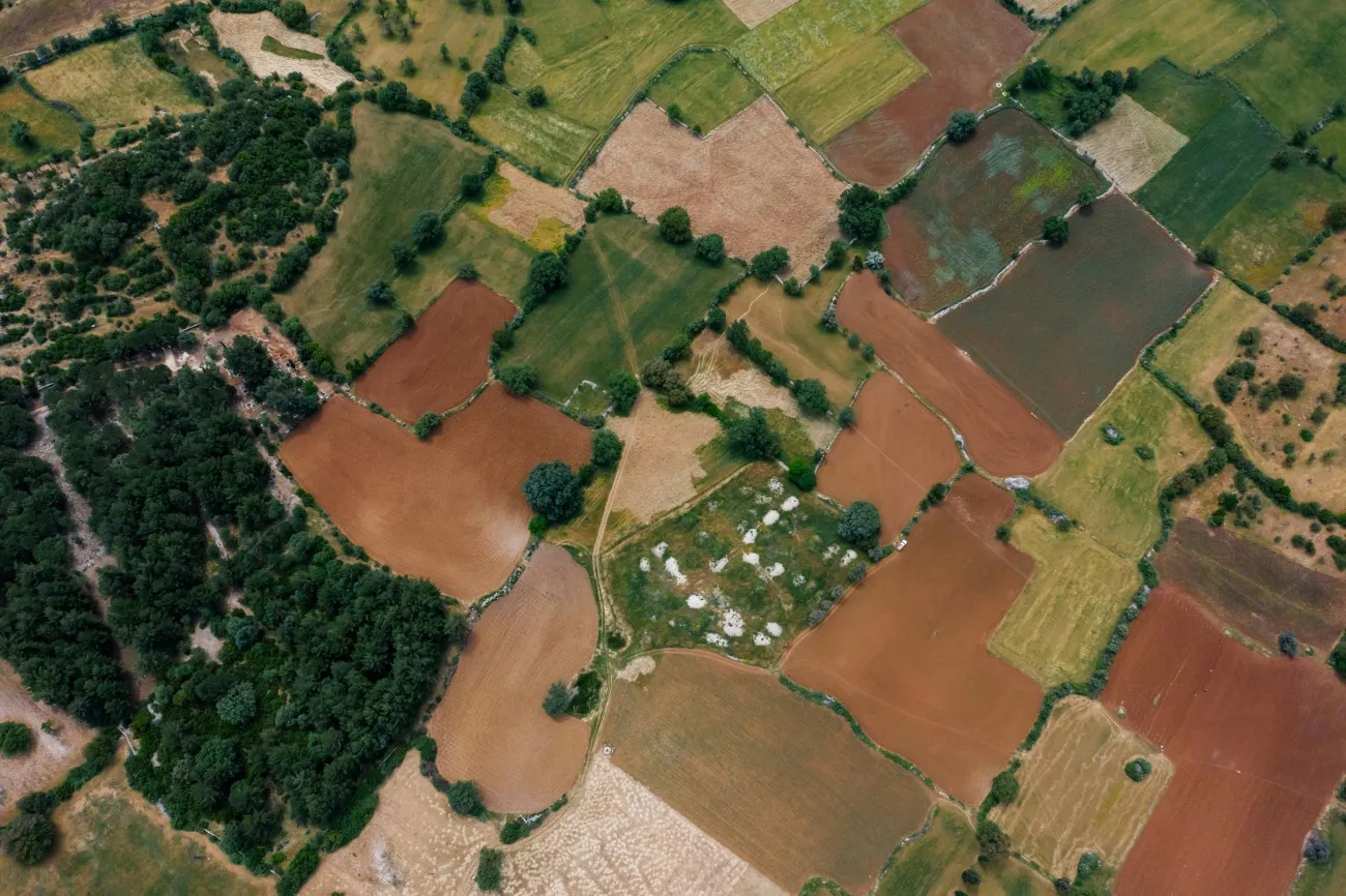 Aerial picture of farms. Credit. mikhail-nilov via Pexels. 