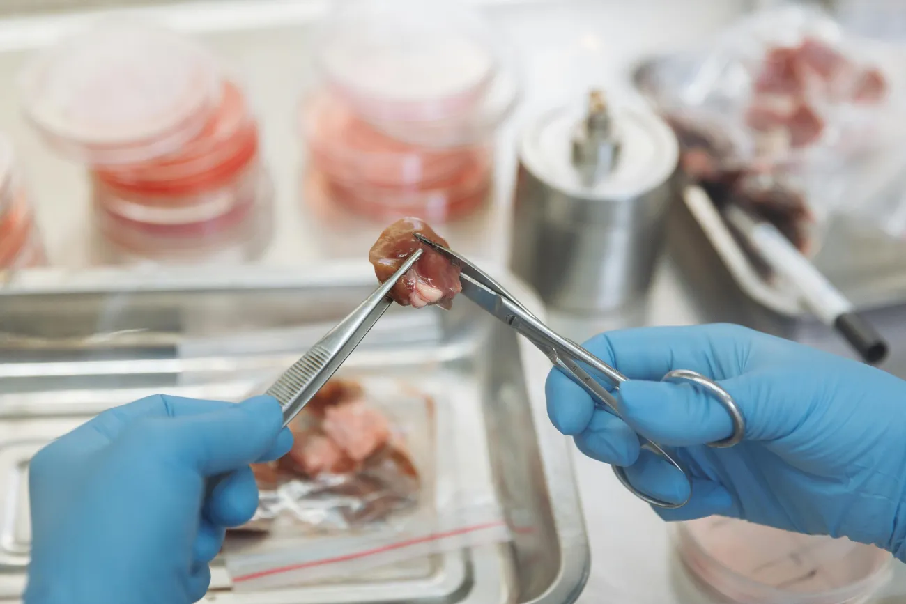 Picture of meat in a lab. Credit: Thirdman via Pexels
