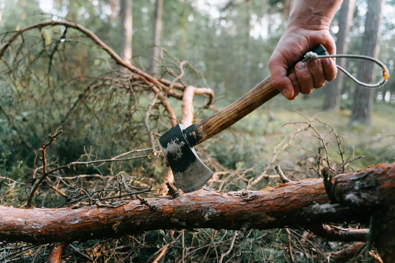 Axe on piece of wood in forest. Credit Ivan Samkov via Pexels