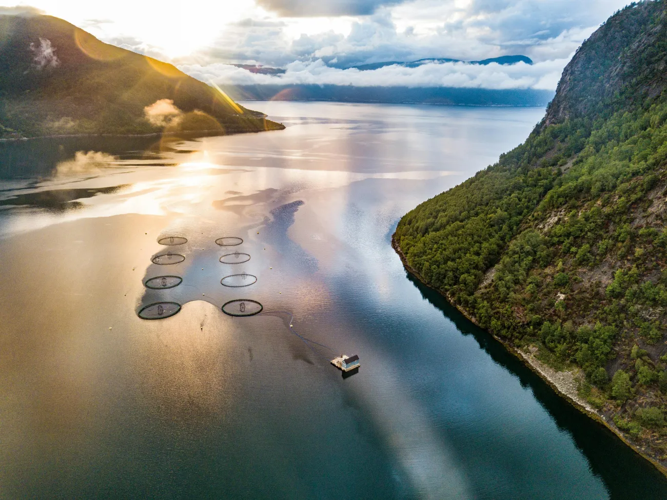Photos of salmon farms in Norway. Credit: Holger J. Bub via Pexels