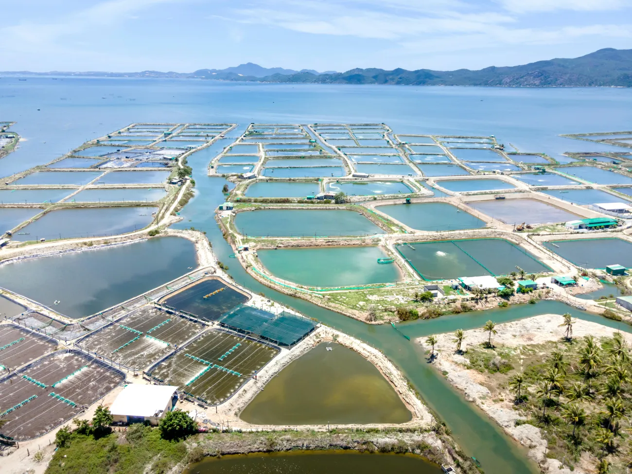 Photo of fish farms. Credit Quang Nguyen Vinh via Pexels. 