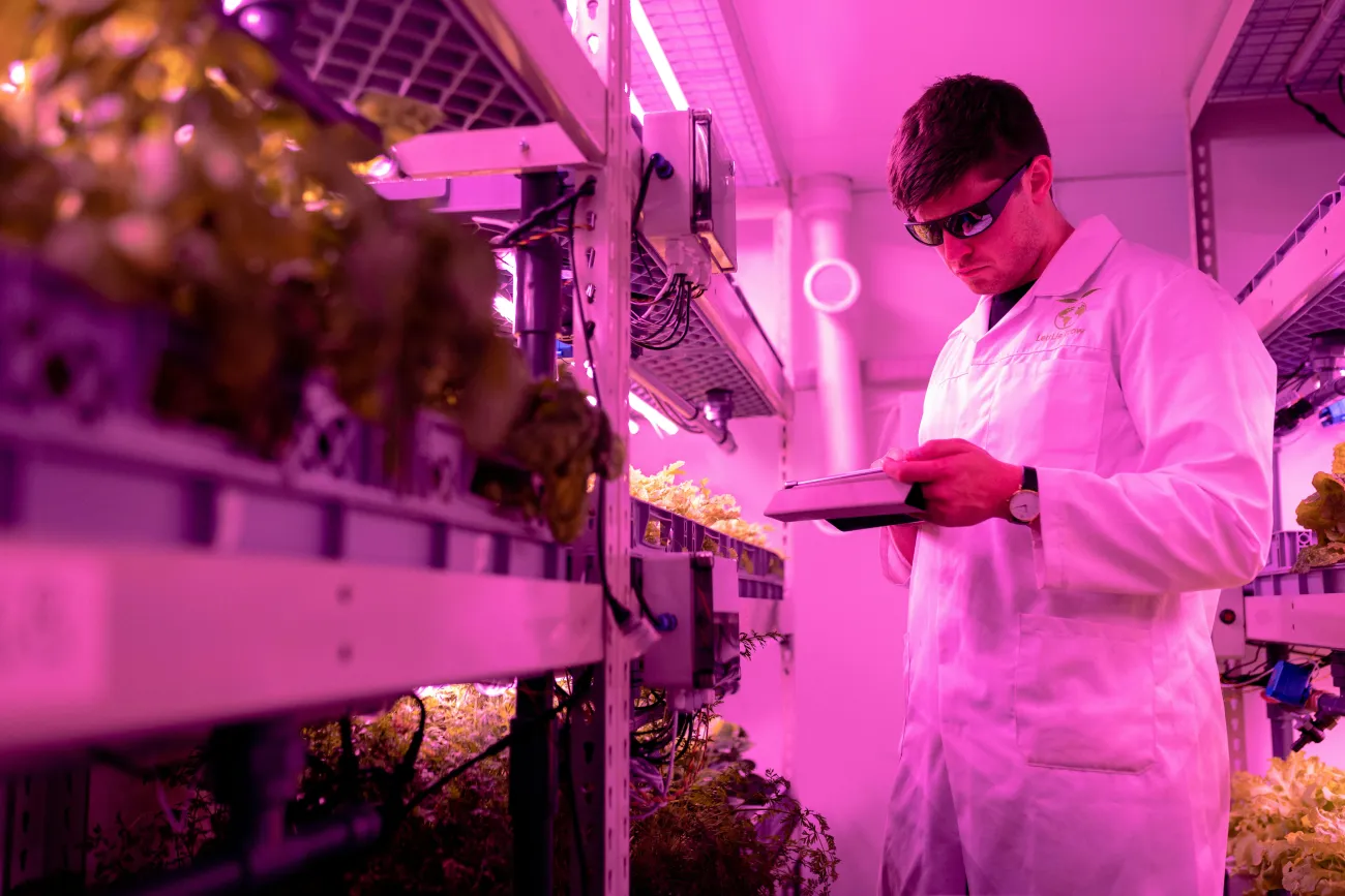 Photo of vertical farming. Credit: Thisisengineering via Pexels. 