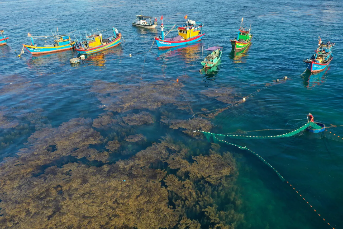 Photo of smallscale fisheries. Credit: tri nguyen via Pexels. 
