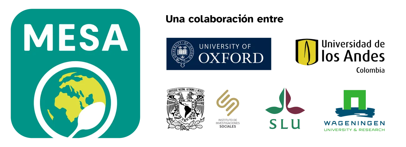 MESA es una colaboración entre la Universidad de Oxford, la Universidad Sueca de Ciencias Agrícolas (SLU), la Universidad e Investigación de Wageningen (WUR), la Universidad de los Andes, y la Universidad Nacional Autónoma de México.