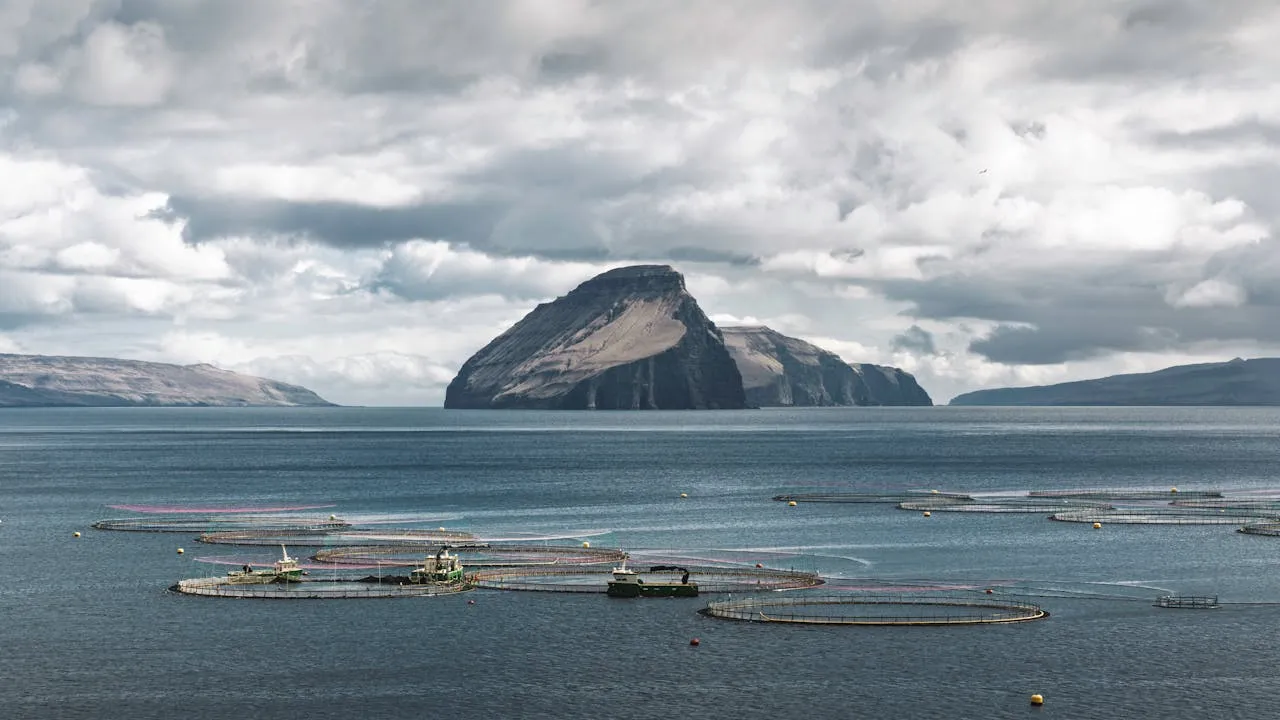 Fish farming. Credit: Raul Ling via Pexels