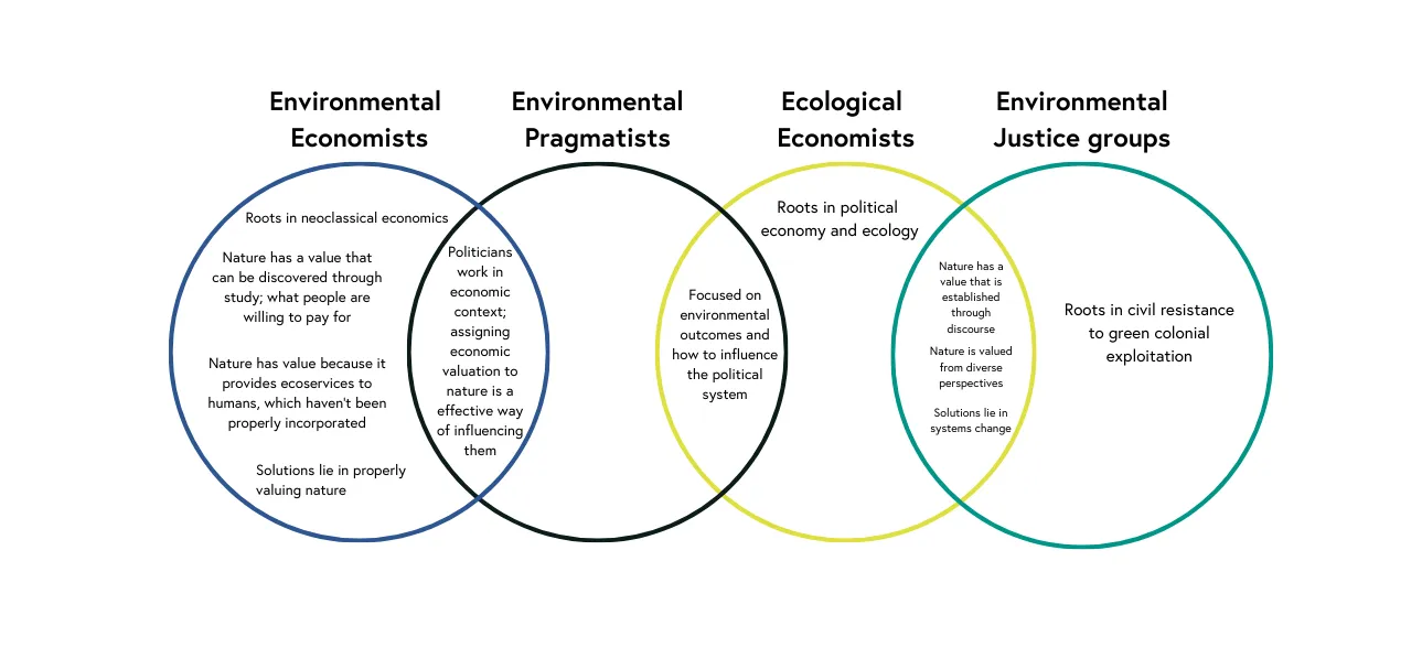 A Venn Diagram describing the ideological relationships between environmental economists, environmental pragmatists, ecological economists, and environmental justice groups.