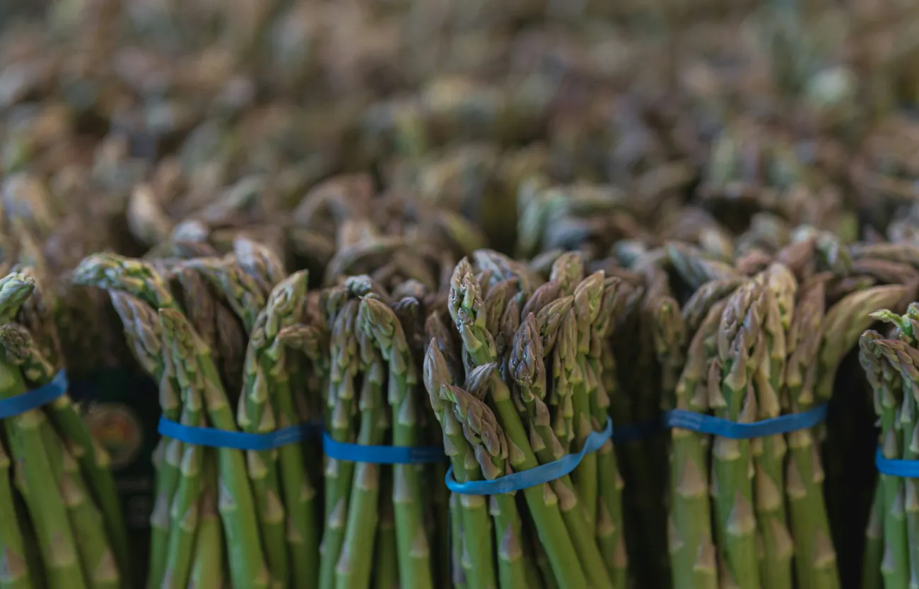 Bunches of asparagus in blue bands. Photo by Donald Teel on Unsplash