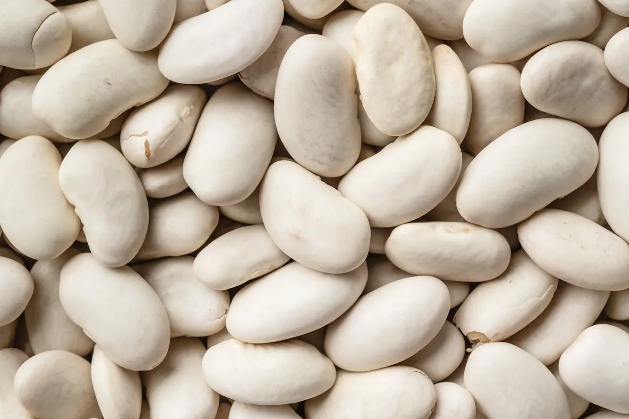 Butter beans up close- Credit: Marina Leonova via Pexels