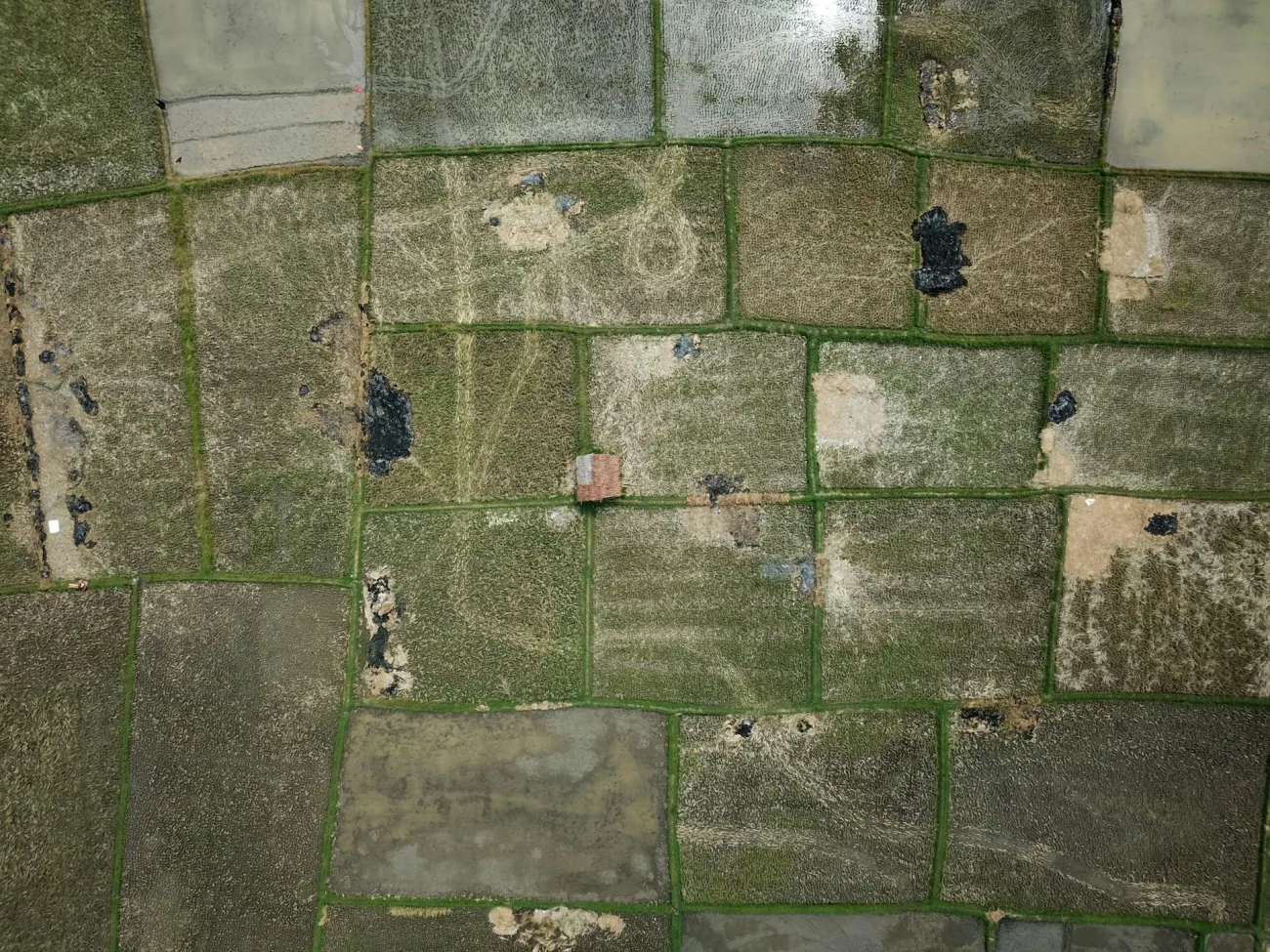 Aerial view of small fields. Credit: Tom Fisk via Pexels