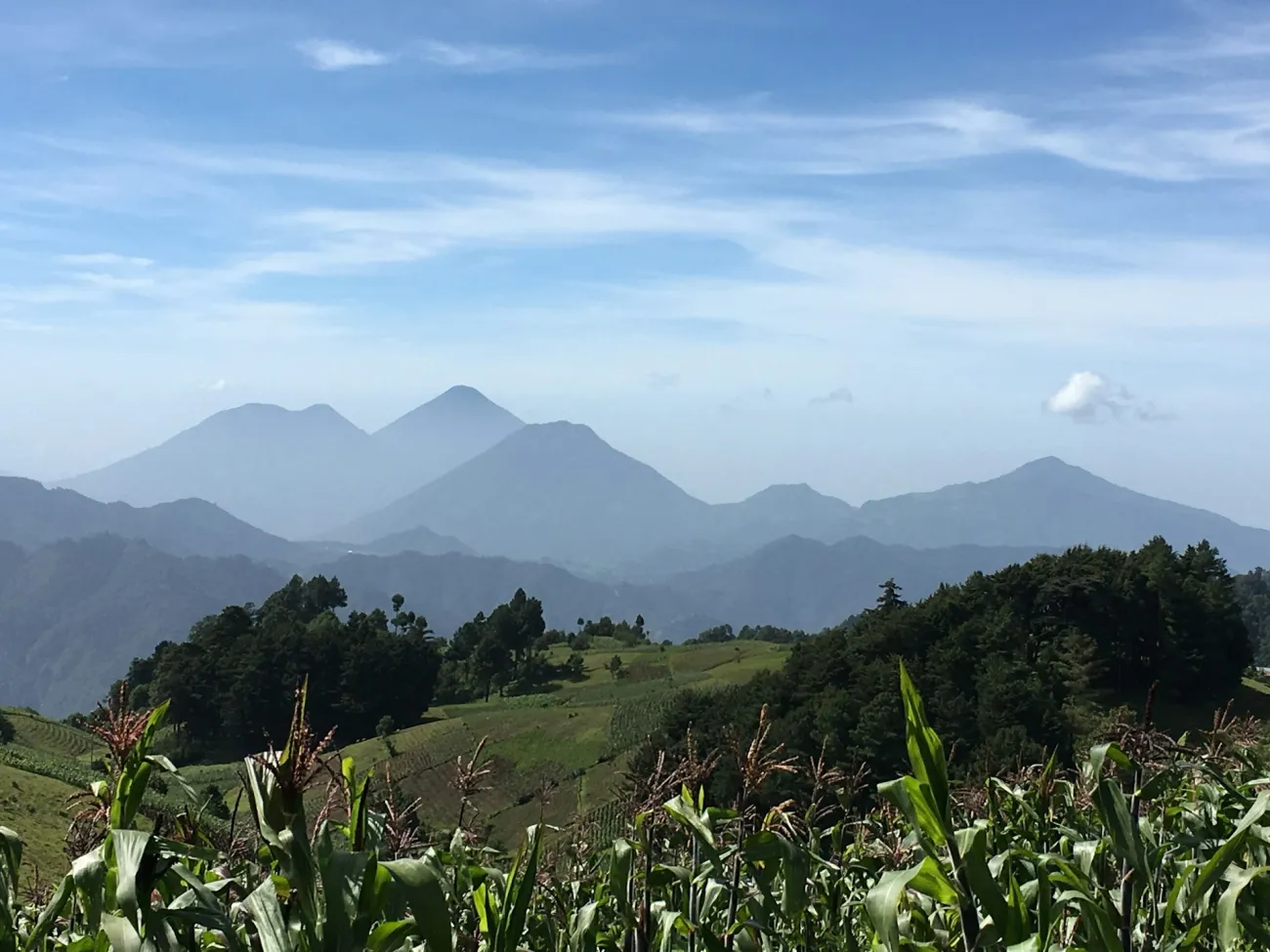 An agricultural landscape in Quezaltenango, Guatemala with corn in the foreground and mountains in the background. Photo by Kellie Shepherd Moeller via Unsplash.