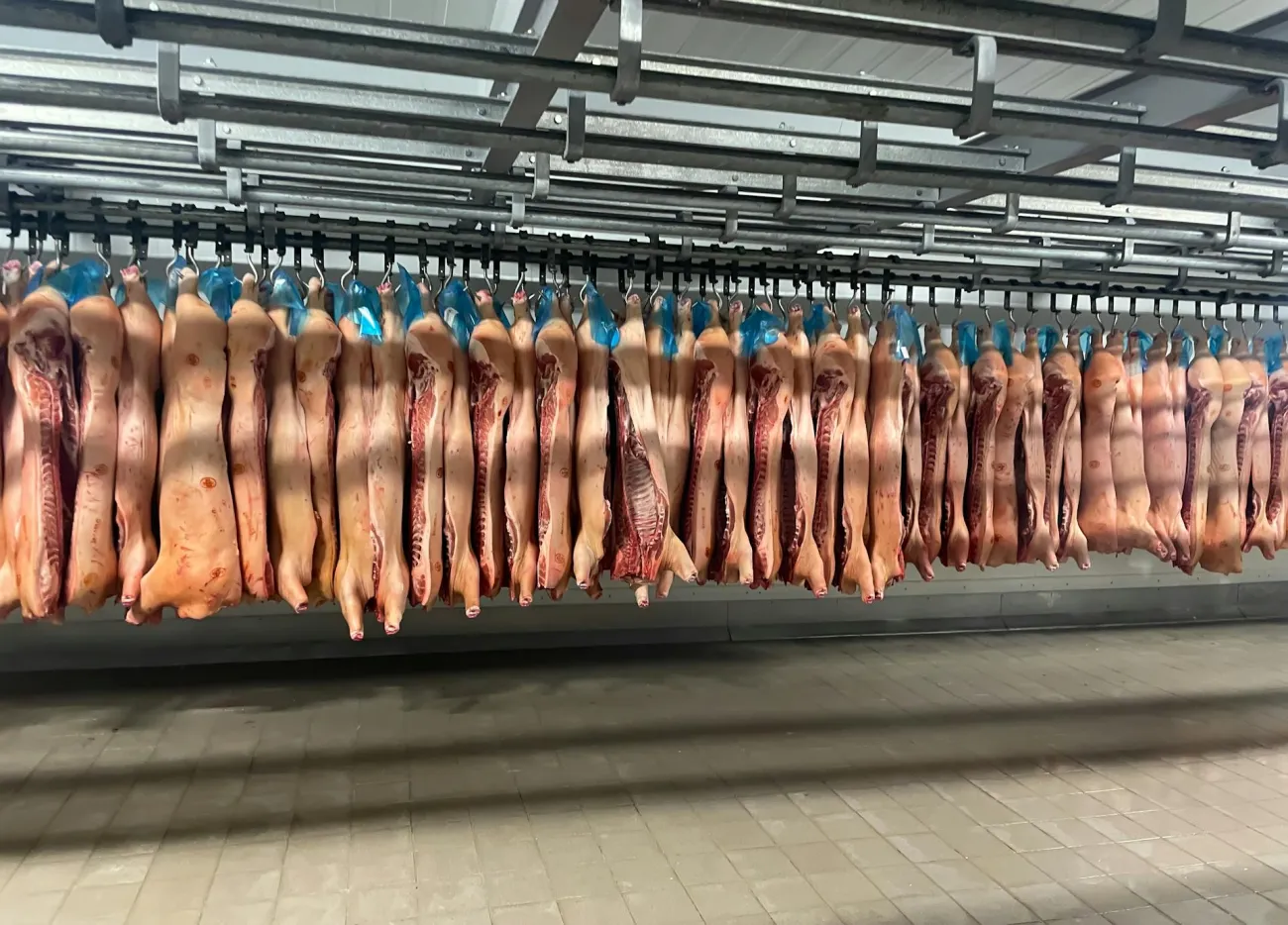 Pig carcasses in warehouse. Credit Aurelijus via Pexels