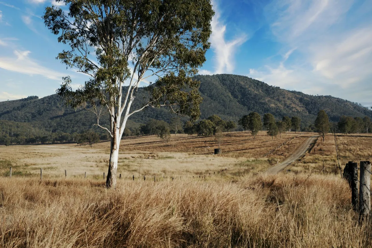 Picture of farm in southern Australia. Credit: Triumph Success via Pexels