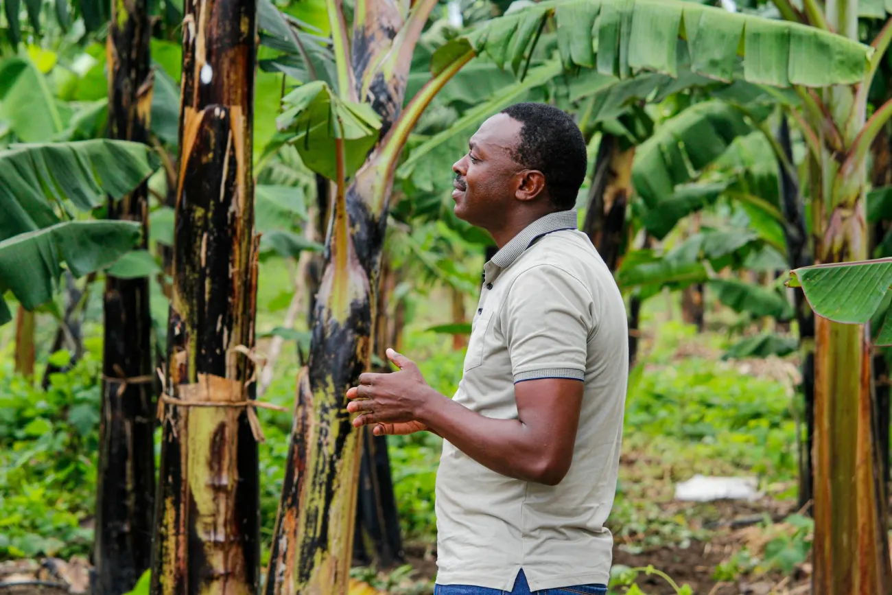 African man in banana grove. Credit: Moses Sabao II via Pexels