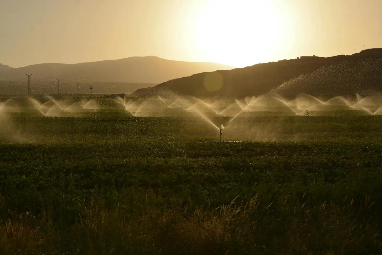 Irrigation over drylands. Credit: Water Suleyman Sahan via Pexels
