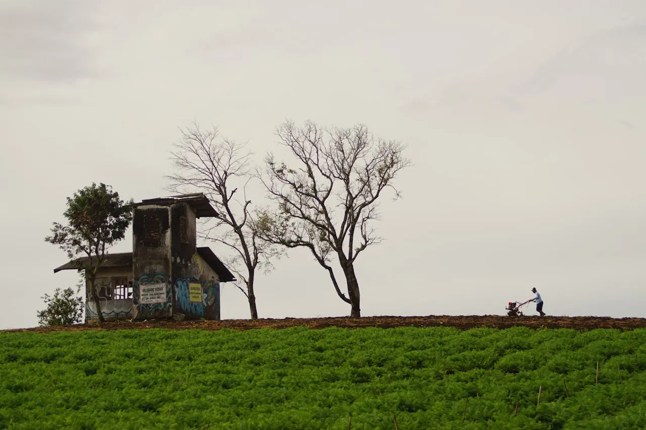 House on hill. Credit: Jauhar Musthofal Qulub via Pexels